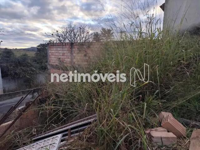 Terreno comercial para Venda em Contagem/MG Tropical