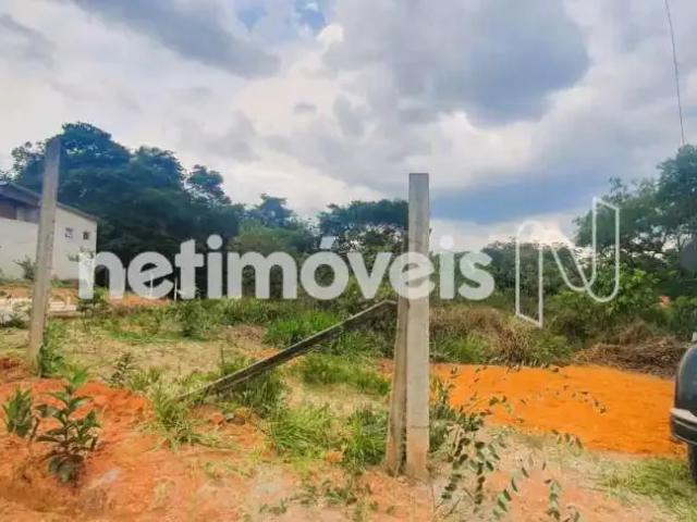 Terreno comercial para Venda em Contagem/MG Vila Ipê Amarelo