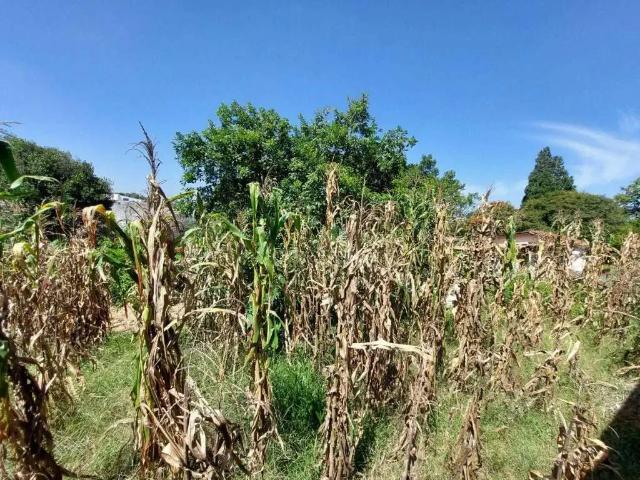 Terreno comercial para Venda em Cotia/SP Granja Viana