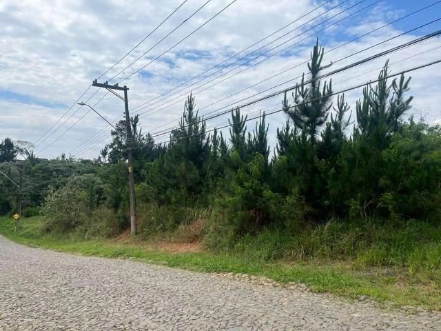Terreno comercial para Venda em Cotia/SP Granja Viana