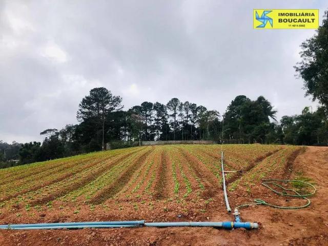 Terreno comercial para Venda em Cotia/SP Pununduva
