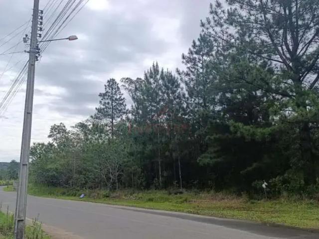 Terreno comercial para Venda em Criciúma/SC Rio Maina