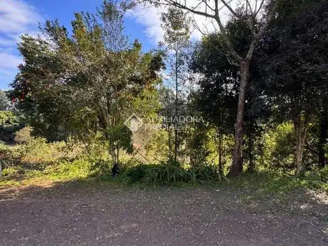 Terreno comercial para Venda em Cruzeiro do Sul/RS Centro
