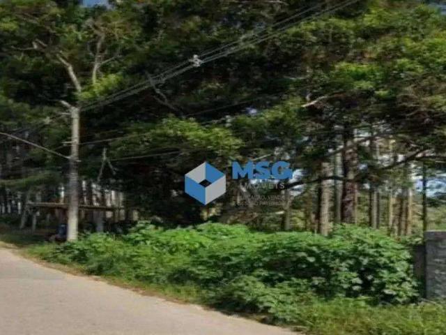 Terreno comercial para Venda em Embu Guaçu/SP Jardim da Represa do Cipo
