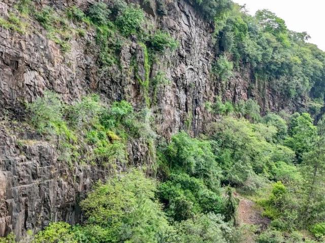 Terreno comercial para Venda em Estância Velha/RS Rosas