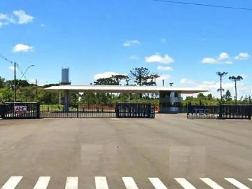 Terreno comercial para Venda em Farroupilha/RS Linha Palmeiro