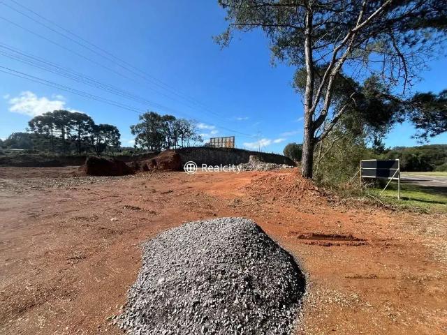 Terreno comercial para Venda em Farroupilha/RS Nova Sardenha Distrito