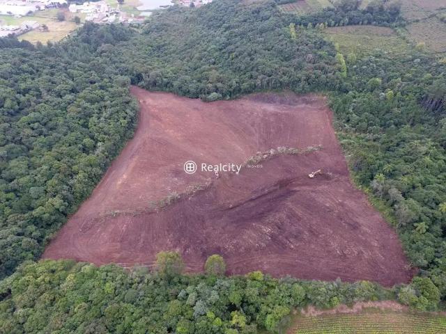 Terreno comercial para Venda em Farroupilha/RS Nova Sardenha Distrito