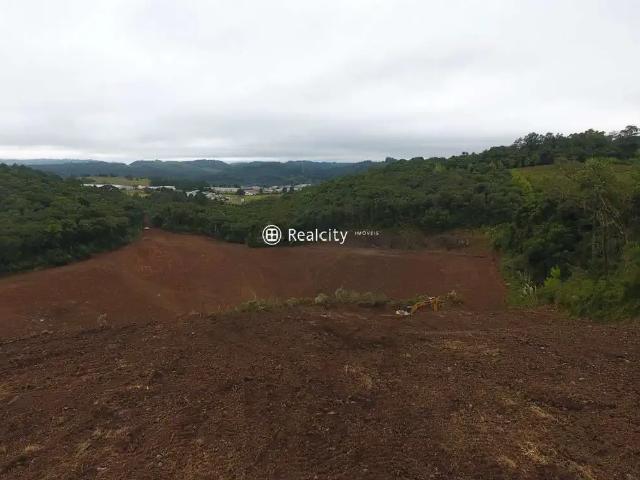 Terreno comercial para Venda em Farroupilha/RS Nova Sardenha Distrito