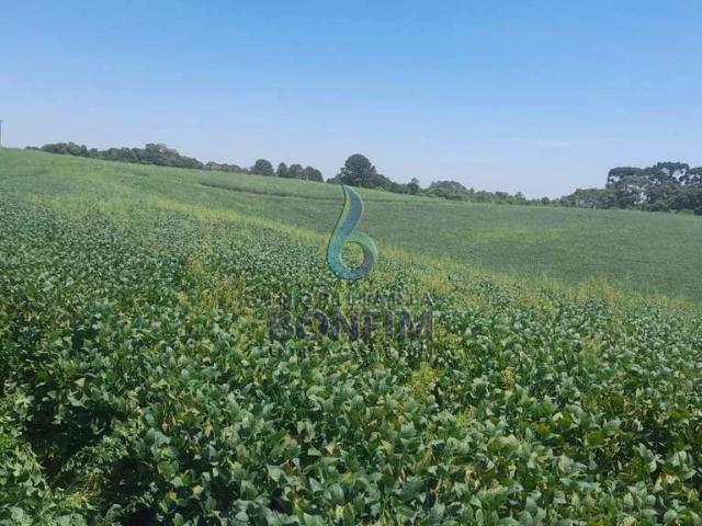 Terreno comercial para Venda em Fazenda Rio Grande/PR Passo Amarelo