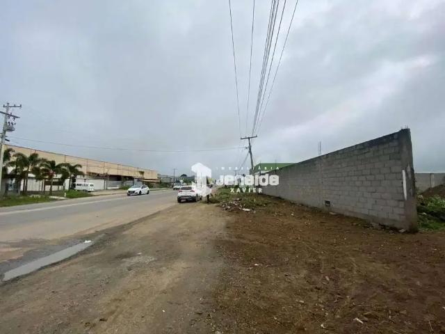 Terreno comercial para Venda em Feira de Santana/BA Tomba