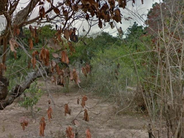 Terreno / Lote para Venda em Feira de Santana/BA Papagaio