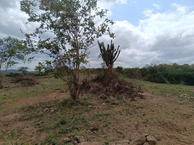 Terreno comercial para Venda em Feira de Santana/BA Pedra do Descanso