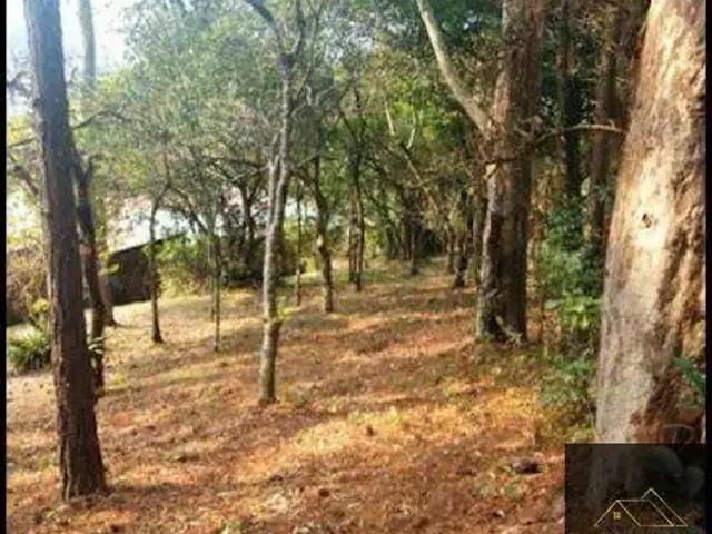 Terreno comercial para Venda em Florianópolis/SC Cacupé