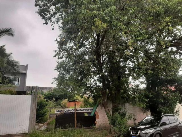 Terreno comercial para Venda em Florianópolis/SC Santa Mônica