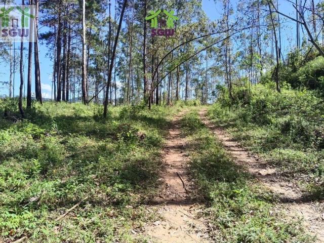 Terreno comercial para Venda em Guarulhos/SP Jardim Presidente Dutra