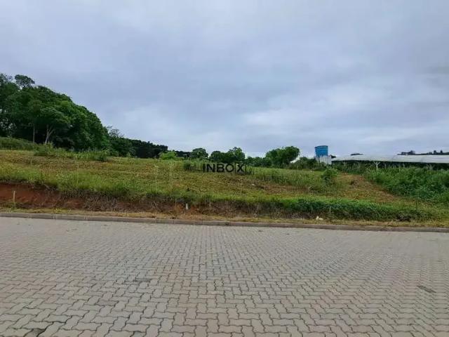 Terreno comercial para Venda em Garibaldi/RS Garibaldina