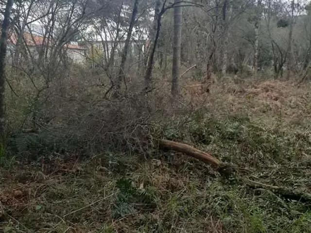 Terreno comercial para Venda em Garibaldi/RS Sebben