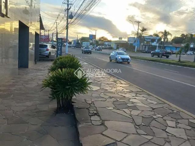 Terreno comercial para Venda em Gravataí/RS São Vicente