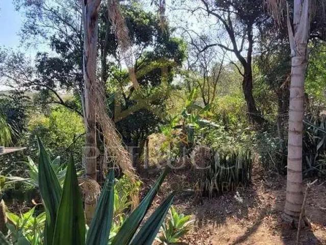Terreno comercial para Venda em Hortolândia/SP Chácaras Havaí