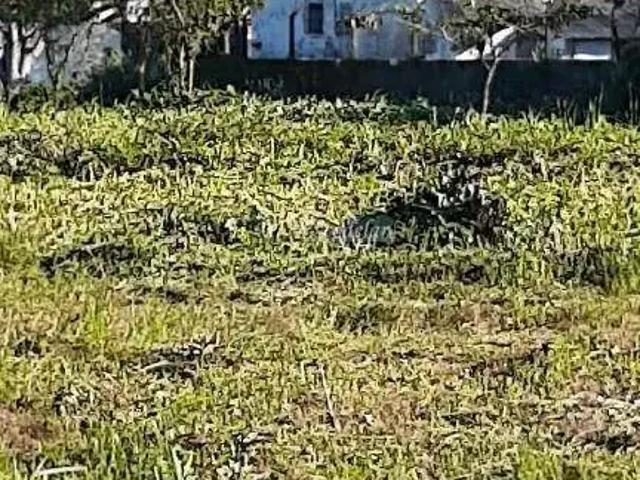 Terreno comercial para Venda em Itanhaém/SP Jardim Maramba