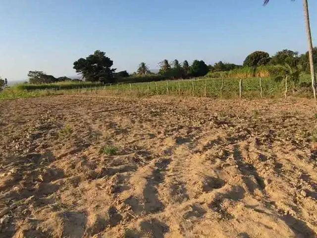 Terreno comercial para Venda em Itabaiana/SE Área Rural de Itabaiana