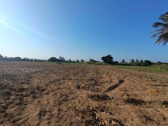 Terreno comercial para Venda em Itabaiana/SE Área Rural de Itabaiana