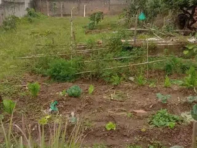 Terreno comercial para Venda em Itajaí/SC São Judas