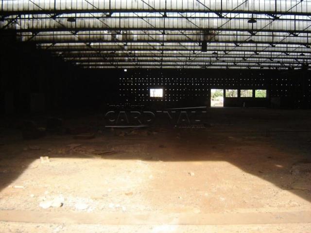 Terreno comercial para Venda em Ibaté/SP Distrito Industrial