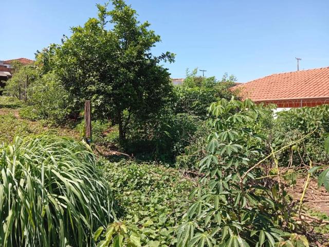 Terreno comercial para Venda em Ibaté/SP Jardim Mariana