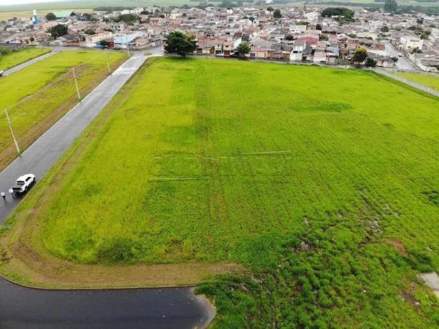 Terreno comercial para Venda em Ibaté/SP Vila Santa Terezinha