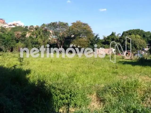 Terreno comercial para Venda em Ipatinga/MG Chácaras Oliveira