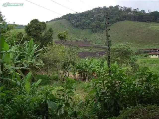 Terreno comercial para Venda em Juiz de Fora/MG Paula Lima