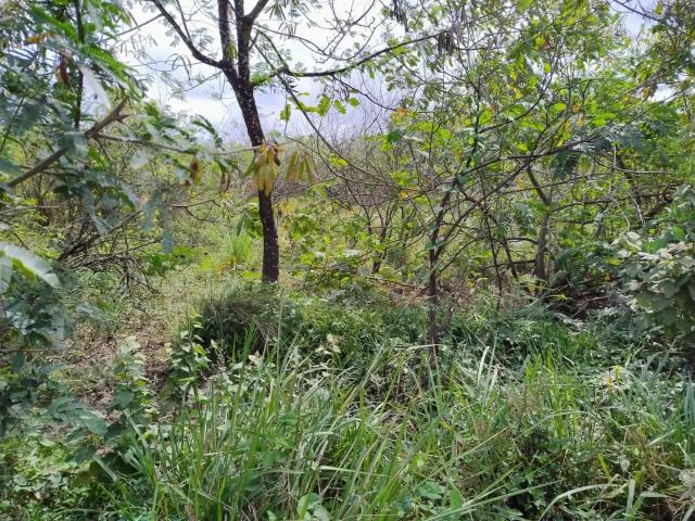 Terreno comercial para Venda em Jaboatão dos Guararapes/PE Muribeca