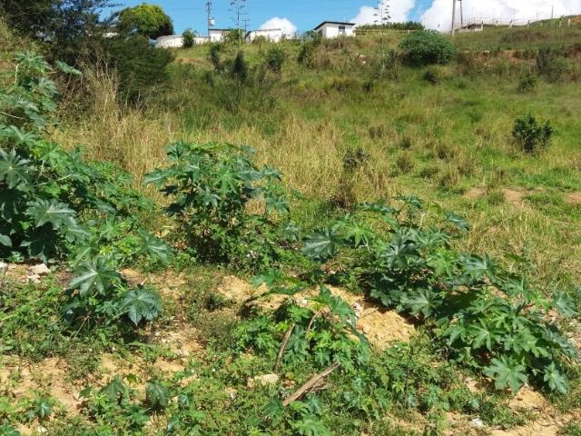 Terreno comercial para Venda em Jaguaquara/BA Centro
