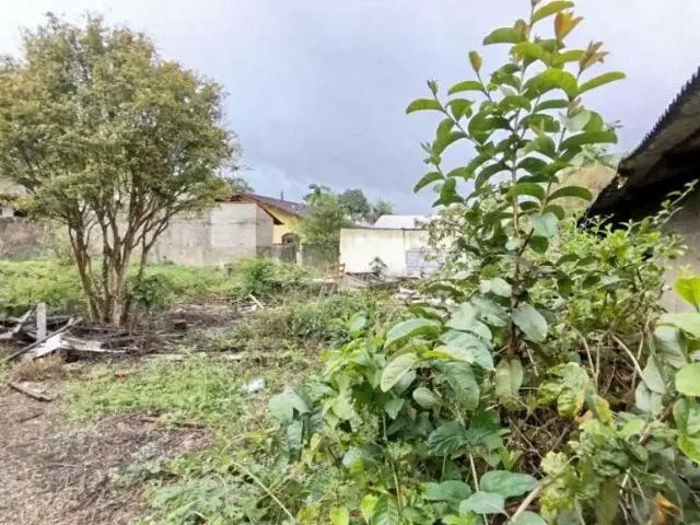 Terreno comercial para Venda em Joinville/SC Floresta