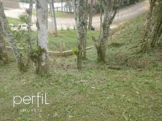 Terreno comercial para Venda em Joinville/SC Vila Nova