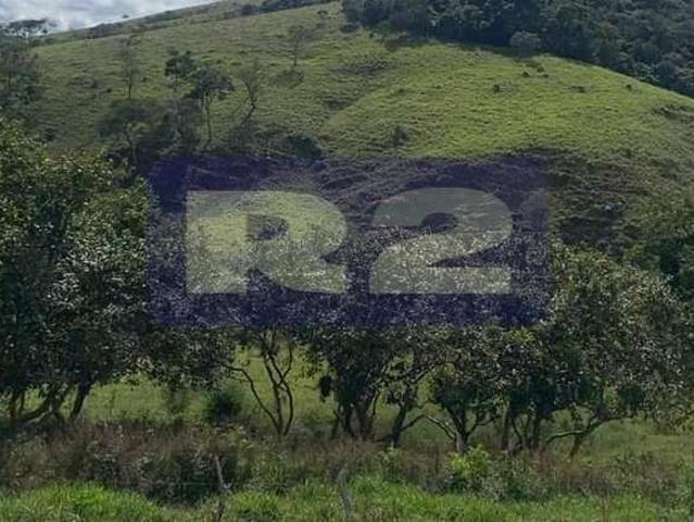 Terreno comercial para Venda em Liberdade/MG Centro
