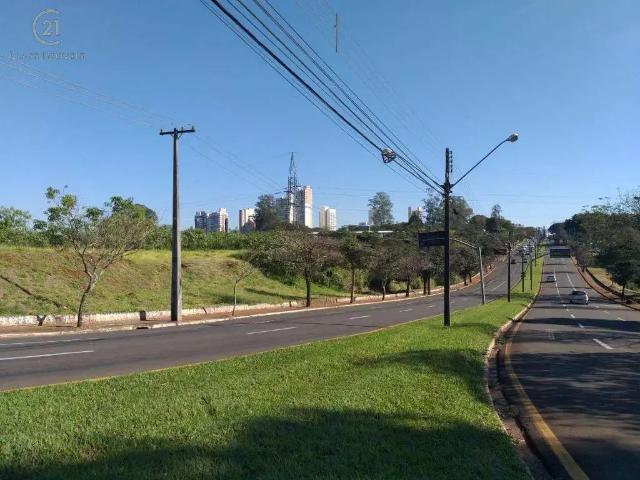Terreno comercial para Venda em Londrina/PR Igapó