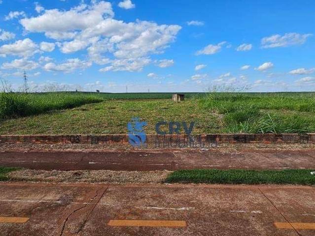 Terreno comercial para Venda em Londrina/PR Residencial Terra Nova