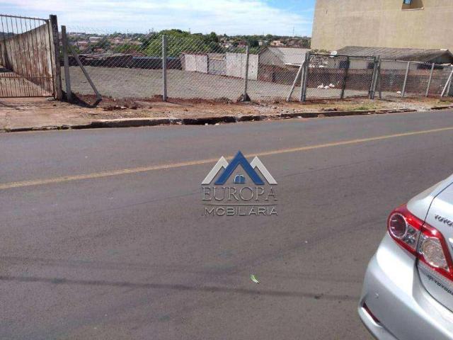 Terreno comercial para Venda em Londrina/PR Vila Santa Terezinha