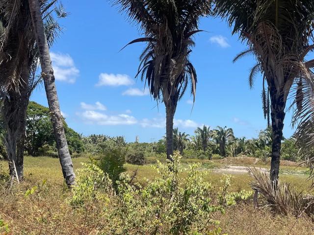 Terreno comercial para Venda em Paço do Lumiar/MA Mocajituba