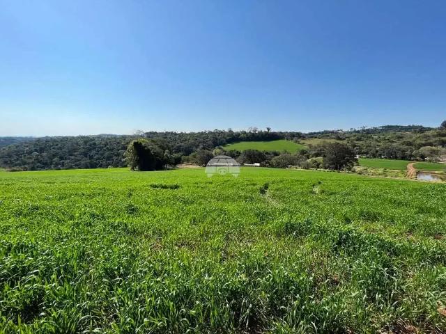 Terreno comercial para Venda em Pato Branco/PR Zona Rural