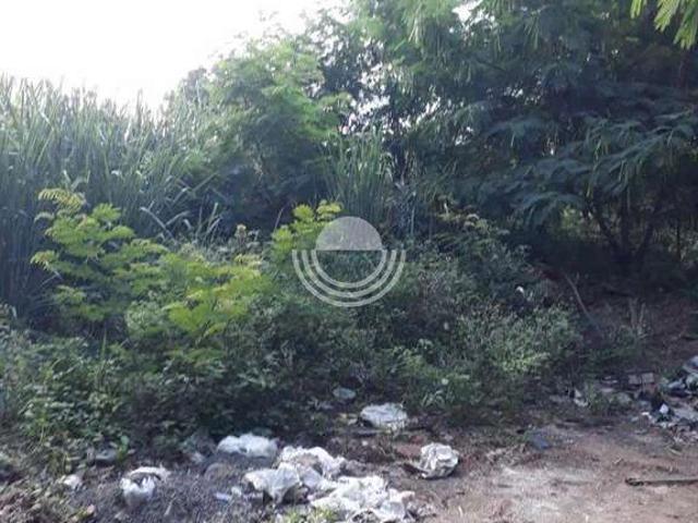 Terreno comercial para Venda em Paulínia/SP Jardim Ypê