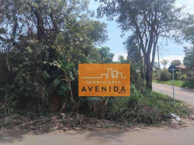 Terreno comercial para Venda em Paulínia/SP São Domingos