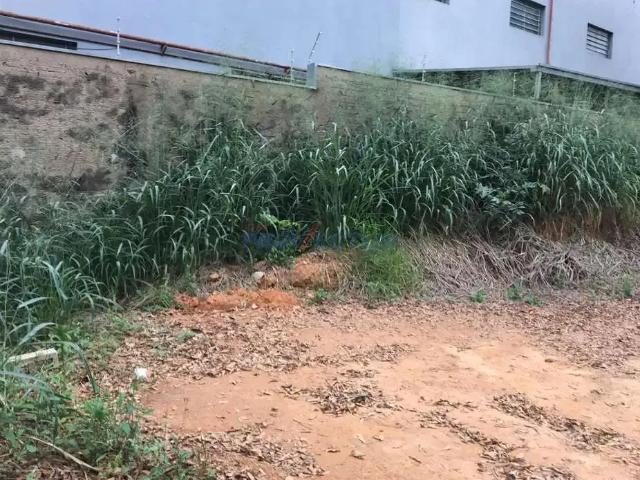 Terreno comercial para Venda em Paulínia/SP Vila José Paulino Nogueira