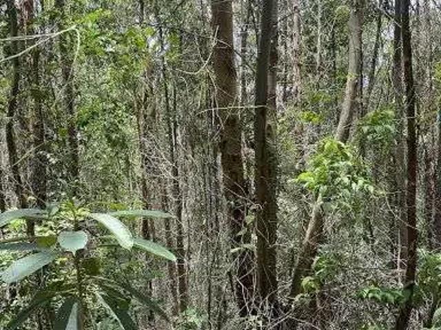 Terreno comercial para Venda em Pedra Bela/SP Centro