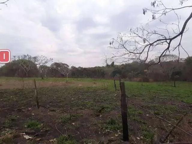 Terreno comercial para Venda em Piracicaba/SP Vila Sônia