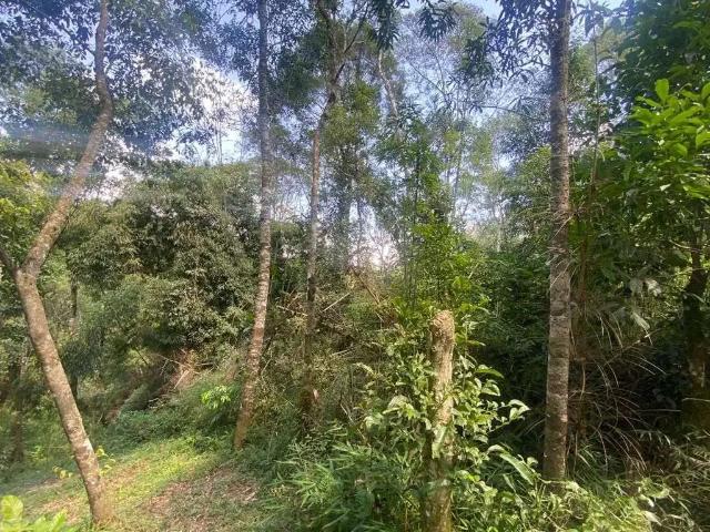 Terreno comercial para Venda em Piraquara/PR Roça Nova