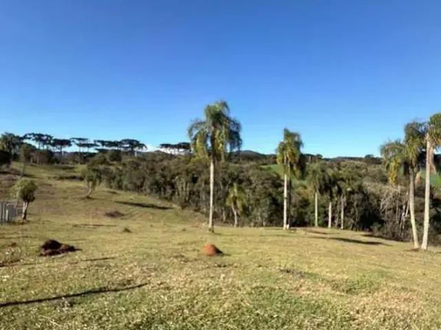 Terreno comercial para Venda em Piraquara/PR Vila Fuck